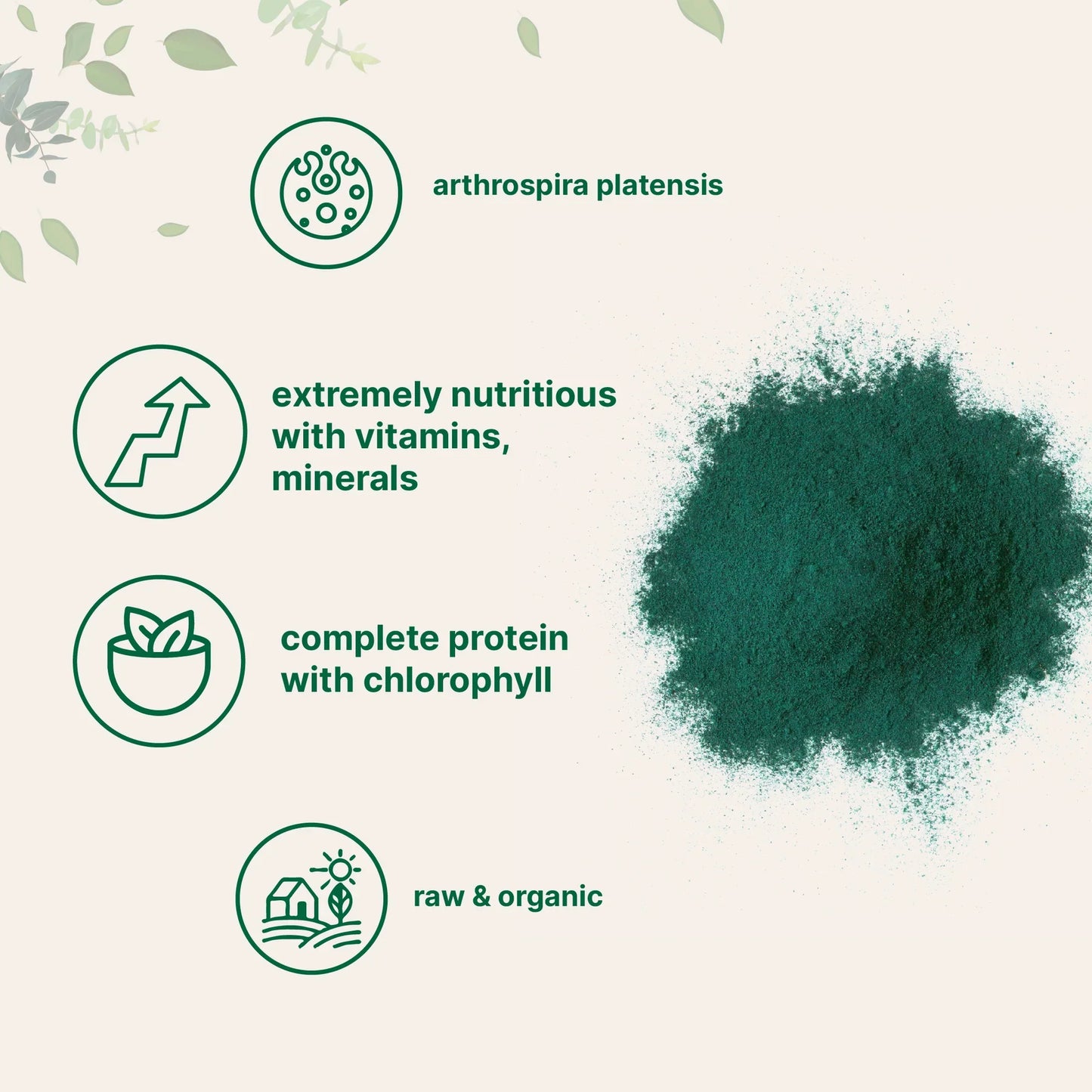 Organic Spirulina Powder 1 Pound